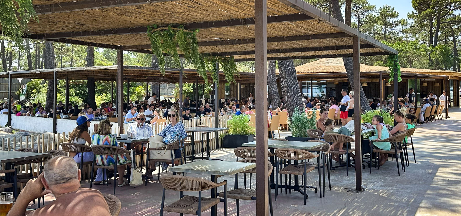 La pagode terrasse arbres